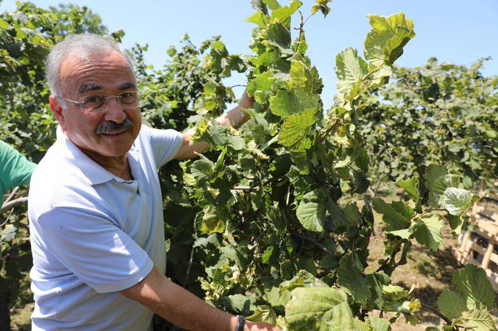 FINDIK ÜRETİCİSİ BU PROJEYİ SEVDİ